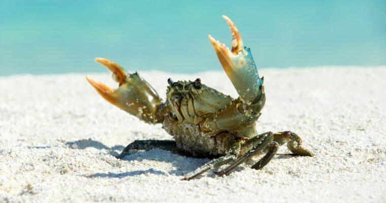 Essential Sustainability Tips For Summer