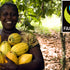 What is Fairtrade and why is it important?