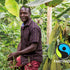 The Importance of Fairtrade Fortnight