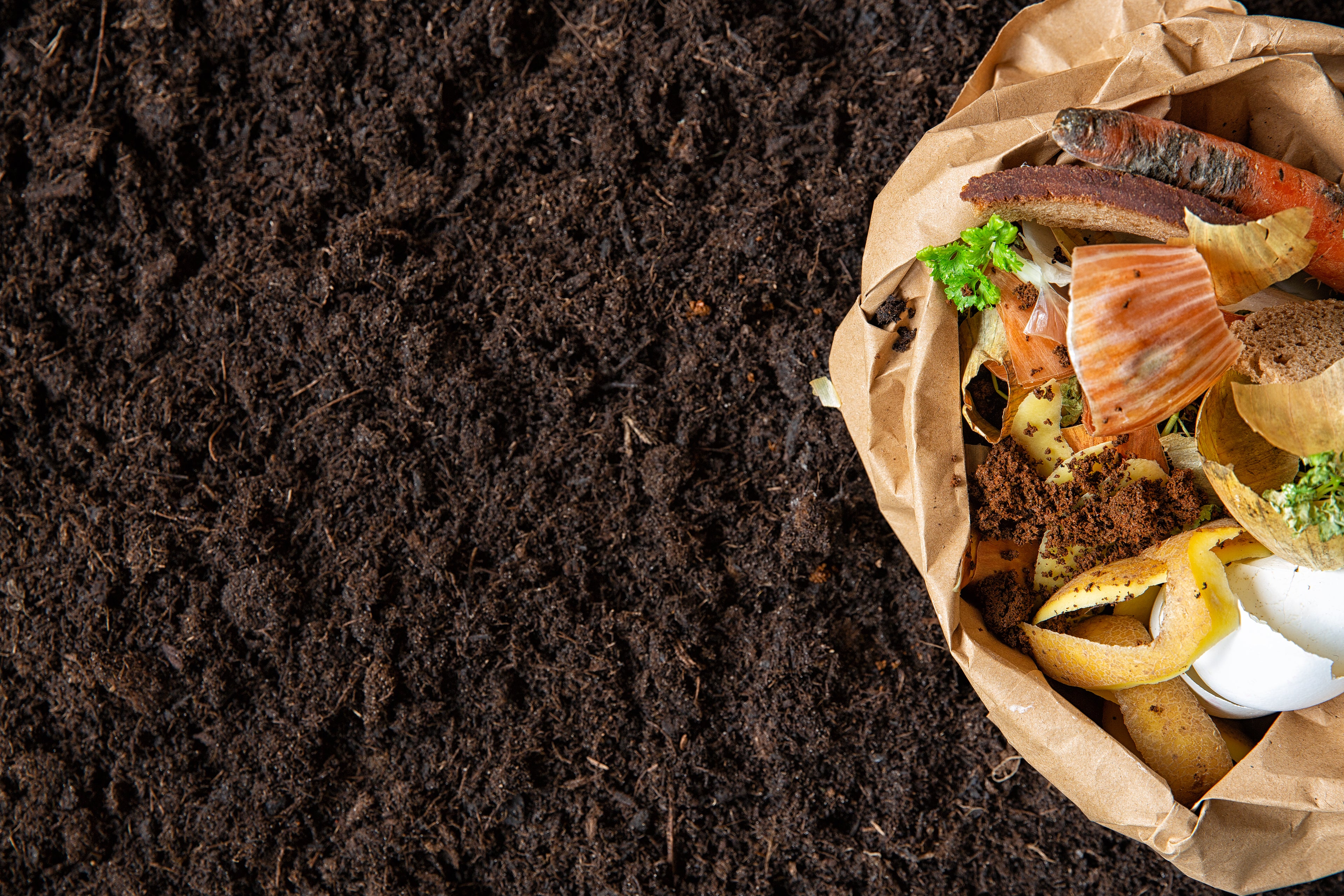 What's The Difference Between Biodegradable and Compostable?
